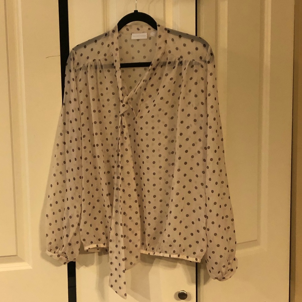 Cream New York & Company Brown Polka Dot Blouse